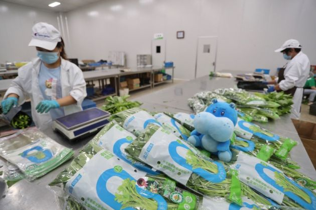 1631871806435932.png 25.png