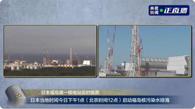 1692858581341705.jpg 1.jpg